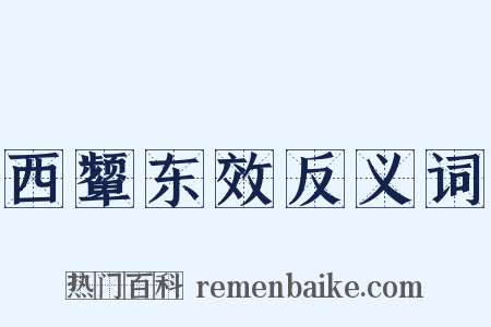 西颦东效反义词是什么意思的图片
